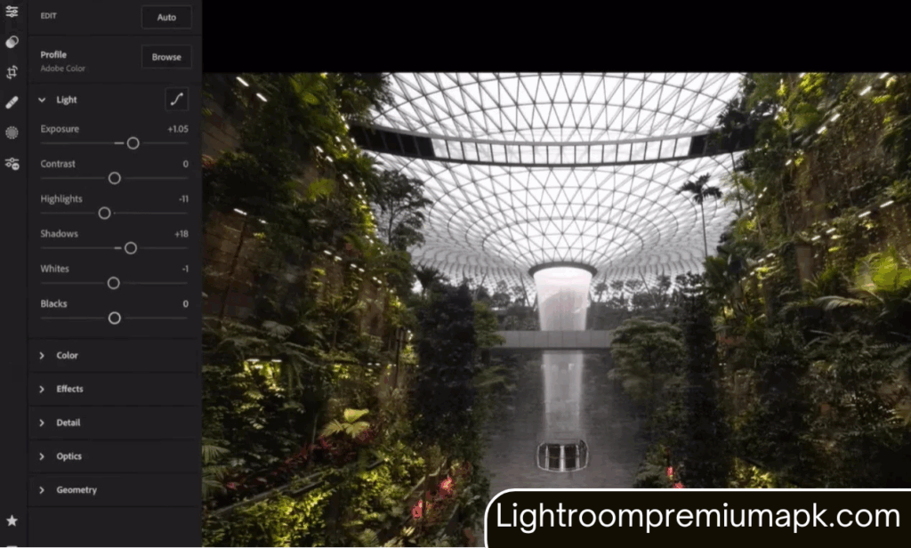 Lightroom app Interface showing various editing options to edit an image taken in a garden.
