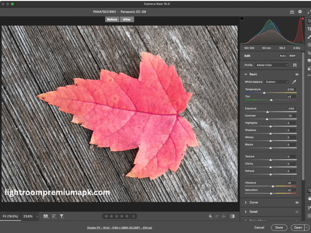 Image that shows the Photoshop app’s advanced editing option to edit the image of Leaf placed on a wooden floor